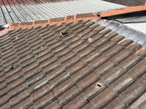 10 Signs Your Roof Needs Professional Attention